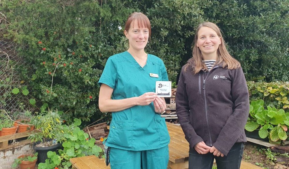 Linnaeus-owned City Vets has been recognised by Devon Wildlife Trust for creating a space for wildlife, which has also become a relaxing space for staff and clients.